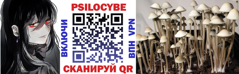 Галлюциногенные грибы Cubensis  hydra сайт  Королёв 