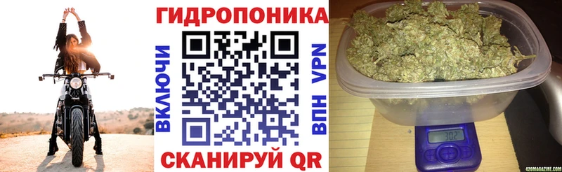 как найти наркотики Королёв МЕГА вход Канабис марихуана
